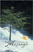 The Message by Hansen, Michael Ritivoi