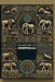 The History of Zoophilia by Are P. Tile