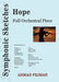 Hope: Full Orchestral Piece by Ahmad Pejman