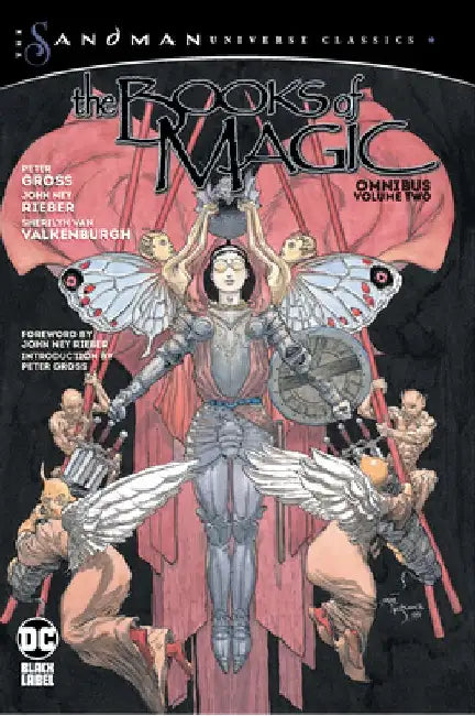 The Books of Magic Omnibus Vol. 2 (the Sandman Universe Classics) by Peter Gross
