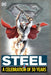 Steel: A Celebration of 30 Years: Hc - Hardcover by Louise Simonson