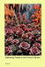 Bellowing Roses in the Turmoil Cavern by Mabel Jox