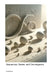 Sequences, Series, and Convergence by Art Massives