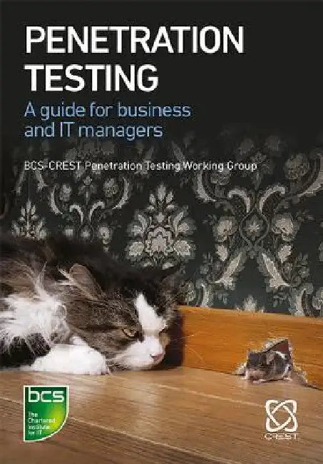 Penetration Testing: A Guide for Business and It Managers by James Hayes