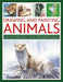 Drawing and Painting Animals: How to Create Beautiful Artworks of Mammals, Amphibians and Reptiles, with Expert Tutorials and 14 Projects Shown in Mor by Jonathan Truss