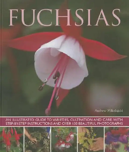 Fuchsias by Andrew Mikolajski