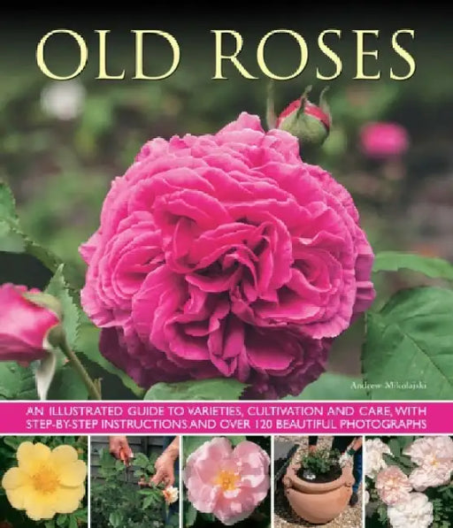Old Fashioned Roses by Andrew Mikolajski