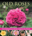 Old Fashioned Roses by Andrew Mikolajski