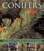 Conifers: An Illustrated Guide to Varieties, Cultivation and Care, with Step-By-Step Instructions and Over 160 Beautiful Photogr by Andrew Mikolajski