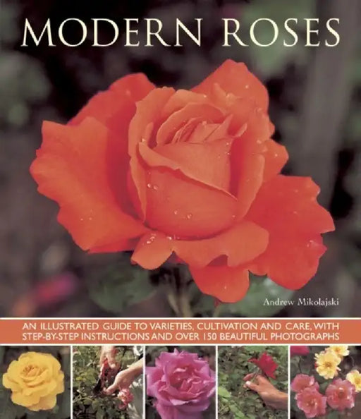 Modern Roses: An Illustrated Guide to Varieties, Cultivation and Care, with Step-By-Step Instructions and Over 150 Beautiful Photogr by Andrew Mikolajski