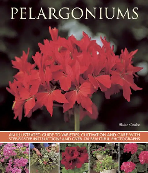 Pelargoniums: An Illustrated Guide to Varieties, Cultivation and Care, with Step-By-Step Instructions and Over 170 Beautiful Photogr by Blaise Cooke