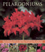 Pelargoniums: An Illustrated Guide to Varieties, Cultivation and Care, with Step-By-Step Instructions and Over 170 Beautiful Photogr by Blaise Cooke