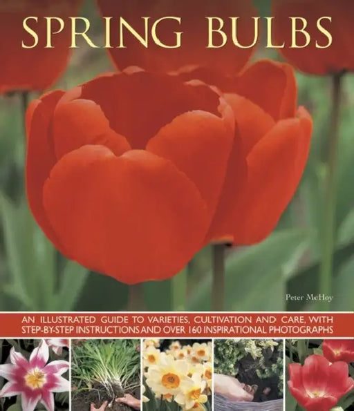 Spring Bulbs by Peter McHoy