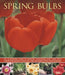 Spring Bulbs by Peter McHoy