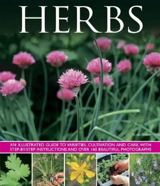 Herbs by Susie White