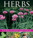 Herbs by Susie White