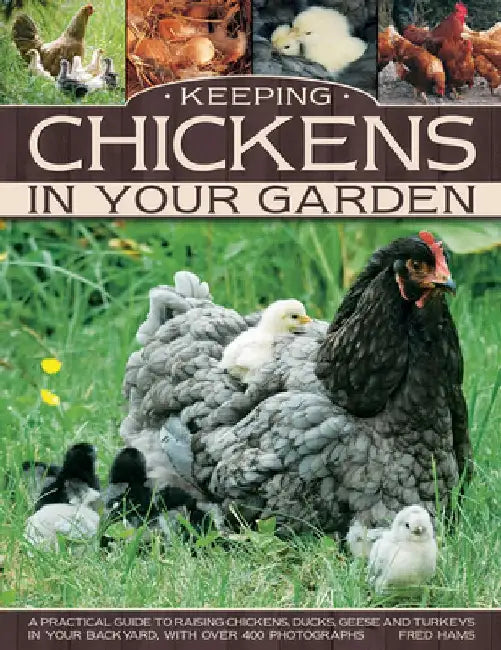 Keeping Chickens in Your Garden by Hams Fred