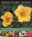 Miniature Roses by Lin Hawthorne