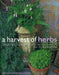 A Harvest of Herbs: A Complete Guide to Growing Herbs, with an Informative Directory and Over 120 Recipe and Gift Ideas by Katherine Richmond Andi Clevely