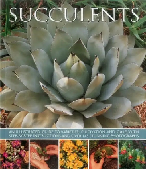 Succulents: An Illustrated Guide to Varieties, Cultivation and Care, with Step-By-Step Instructions and Over 145 Stunning Photogra by Terry Hewitt