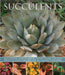 Succulents: An Illustrated Guide to Varieties, Cultivation and Care, with Step-By-Step Instructions and Over 145 Stunning Photogra by Terry Hewitt