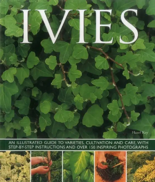 Ivies: An Illustrated Guide to Varieties, Cultivation and Care, with Step-By-Step Instructions and Over 150 Inspiring Photogr by Hazel Key