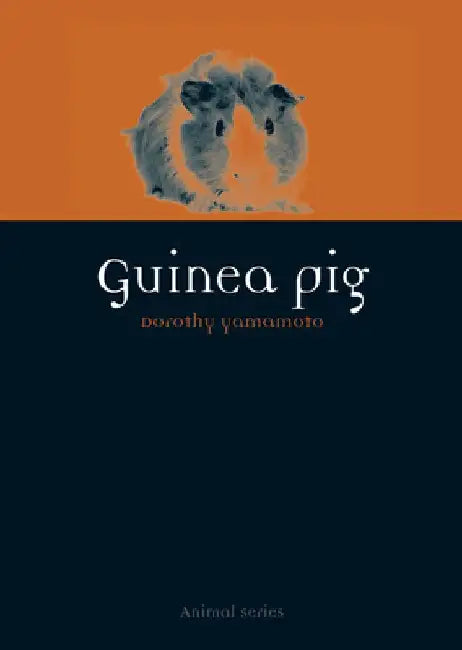Guinea Pig by Dorothy Yamamoto