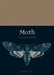 Moth by Matthew Gandy
