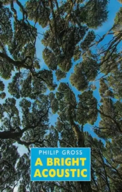 A Bright Acoustic by Philip Gross