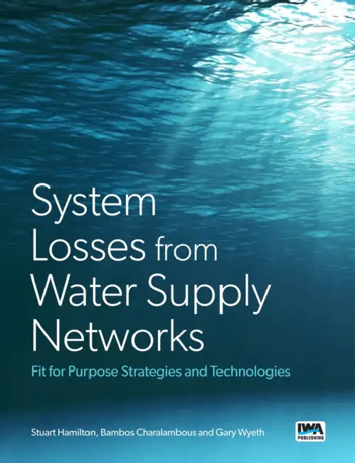System Losses from Water Supply Networks by Stuart Hamilton, Bambos Charalambous
