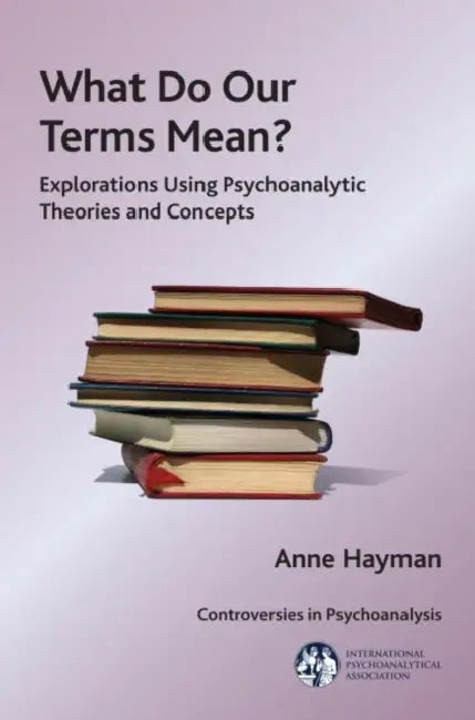 What Do Our Terms Mean?: Explorations Using Psychoanalytic Theories and Concepts by Hayman Anne