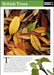 British Trees by Instant Guides