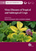 Virus Diseases of Tropical and Subtropical Crops by Gustavo Fermin, Paula Tenant
