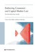 Enforcing Consumer and Capital Markets Law: The Diesel Emissions Scandal by Thomas M. J. Möllers, Beate Gsell