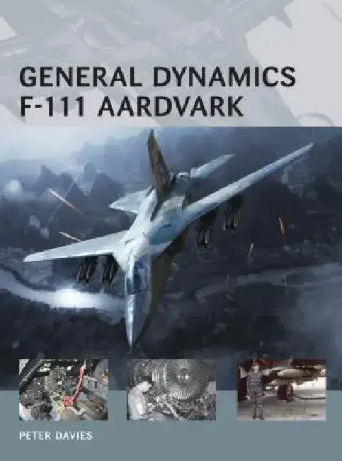 General Dynamics F-111 Aardvark by Peter E. Davies