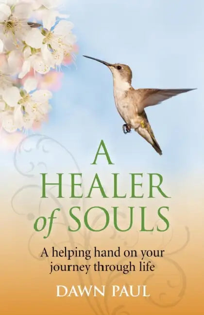 A Healer of Souls by Dawn Paul