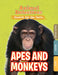 Apes & Monkeys by Anne O'Daly