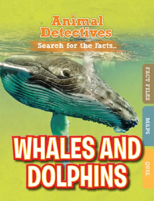 Whales & Dolphins by Anne O'Daly