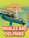 Whales & Dolphins by Anne O'Daly