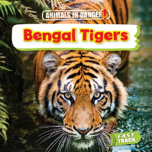 Bengal Tigers by Nancy Dickmann