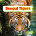 Bengal Tigers by Nancy Dickmann