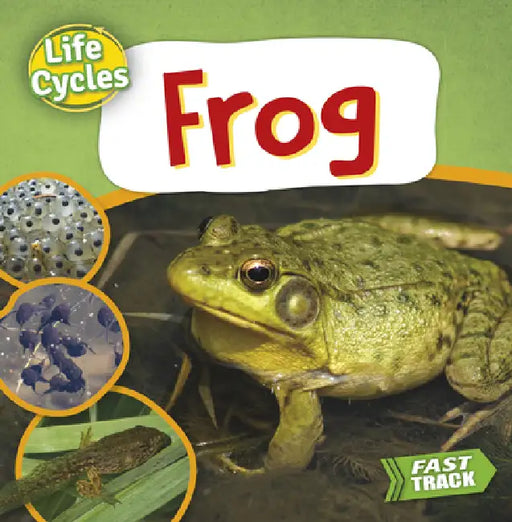 Frog by Nancy Dickmann