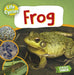 Frog by Nancy Dickmann