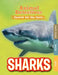 Sharks by Anne O'Daly