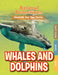 Whales & Dolphins by Anne O'Daly