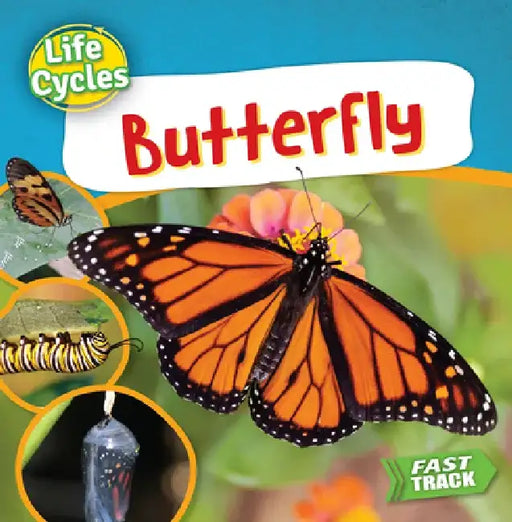Butterfly by Nancy Dickmann