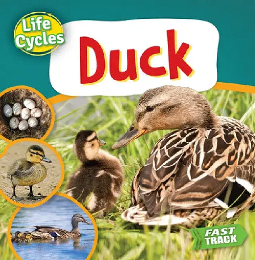 Duck by Nancy Dickmann