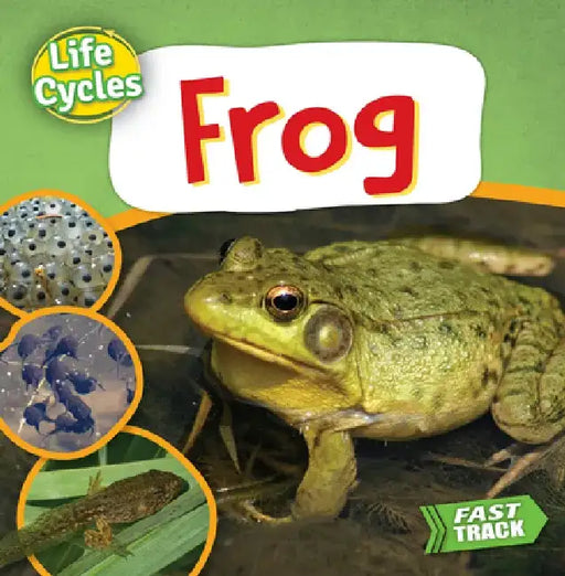 Frog by Nancy Dickmann