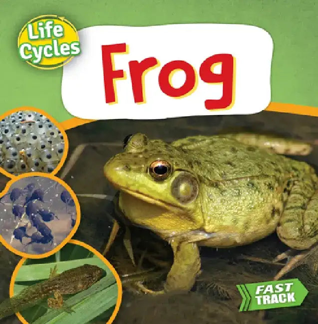 Frog by Nancy Dickmann