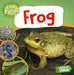 Frog by Nancy Dickmann